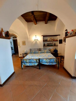Garden debar Centola